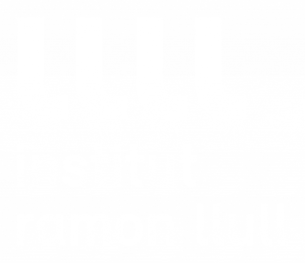 Institut Ramon Llull